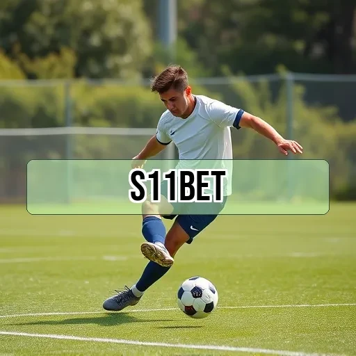 s11bet: O Que Torna a Seção VIP Um Mundo Exclusivo